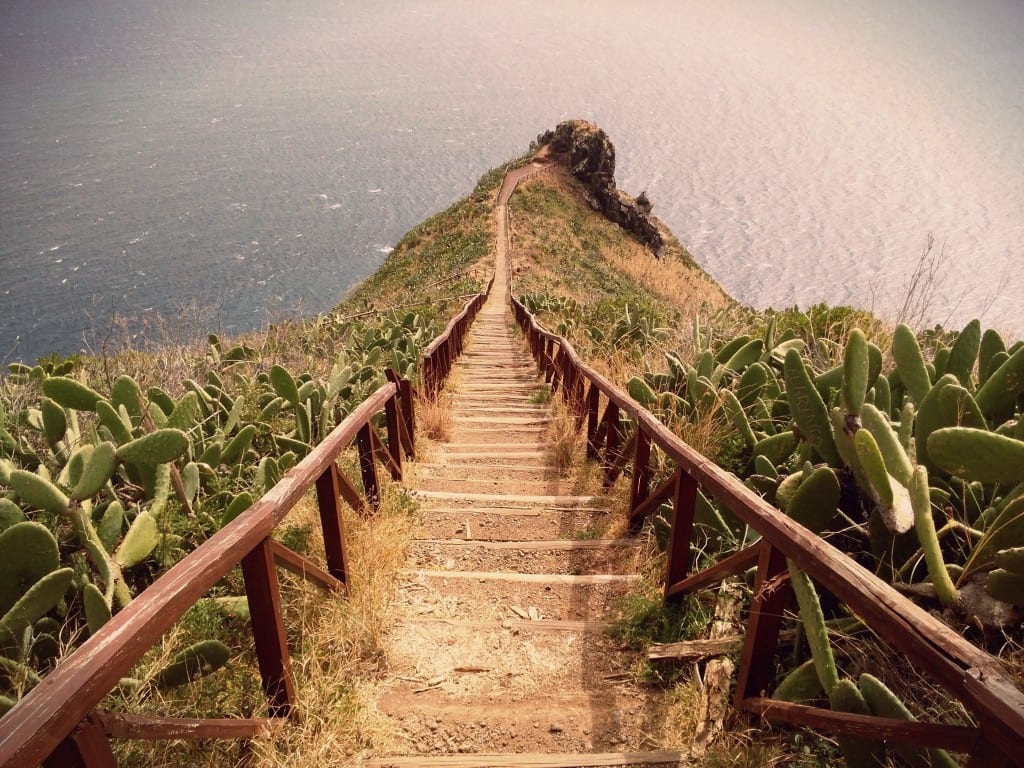 9 Reasons To Visit Madeira During The Fall Winter 0593