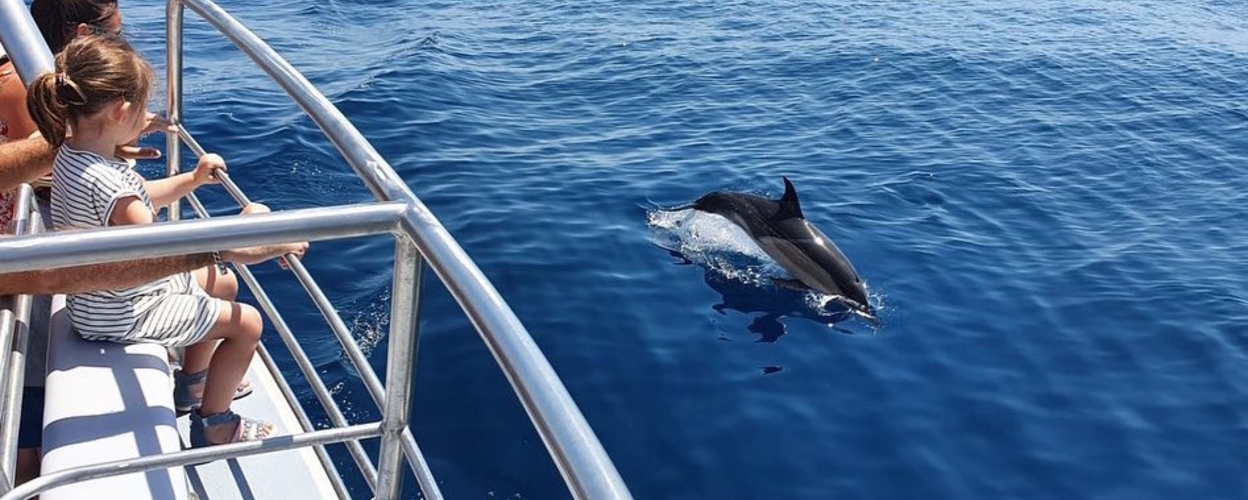 Lagos dolphin adventure

