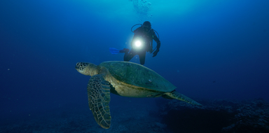 PADI Specialty Diver Course in Honolulu