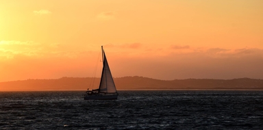 Cover for Sunset sailing trip in Portimão