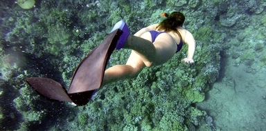 Snorkeling in Tenerife does not require previous experience