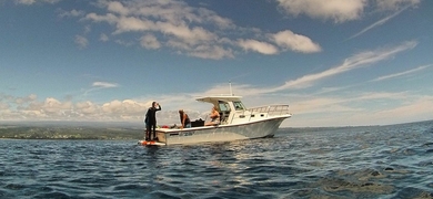 Humpback Whale Exploration in Hilo