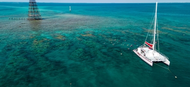 Afternoon Snorkel Catamaran Tour in Key West