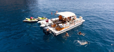 Cover for Private boat trip in Tenerife