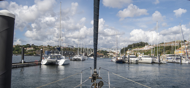 Private sailing in Porto