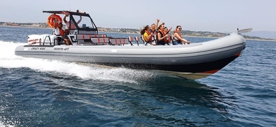 Have a fun time on board on this dolphin watching trip in Lagos