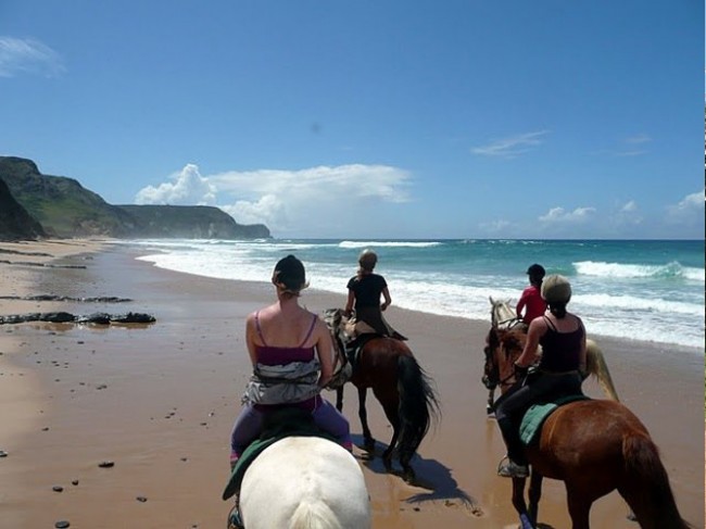 Melhores coisas para fazer em Lagos - Passeios a cavalo