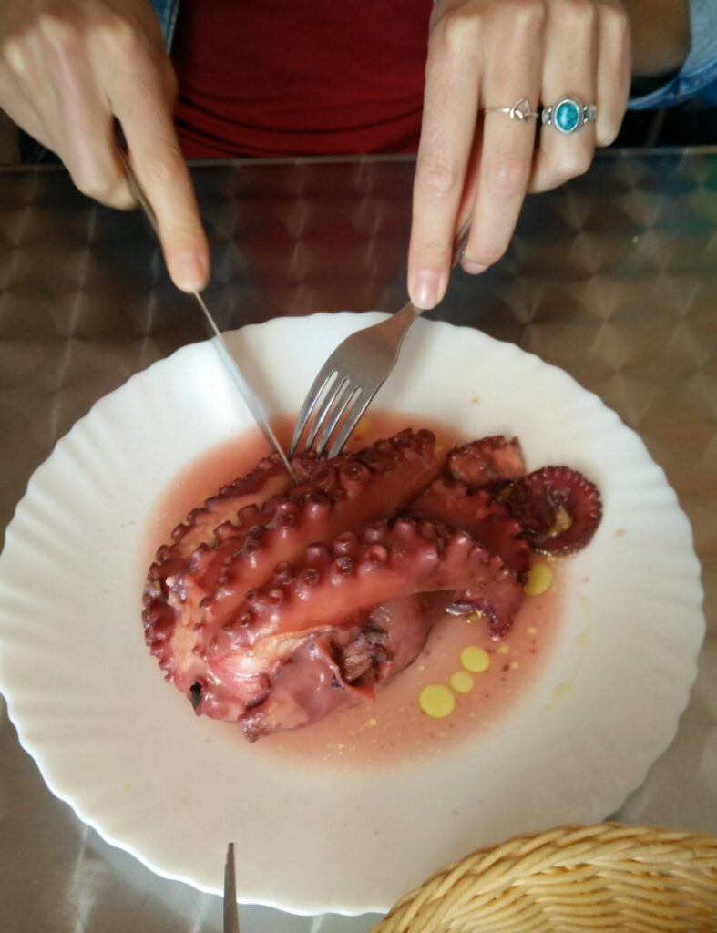 Officially the best octopus ever!