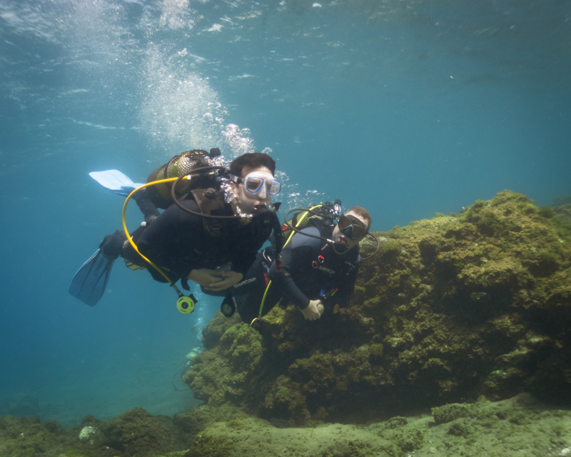 diving in Tenerife