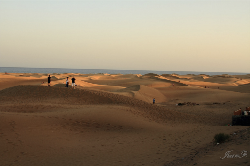 Dunas de Maspalomas by Juan Francisco