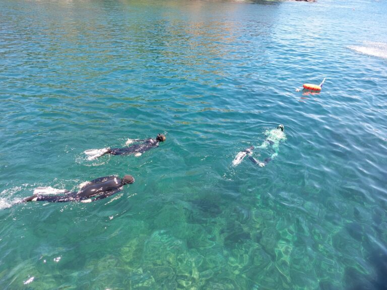 Passeio de barco no Ilhéu das Cabras com snorkeling