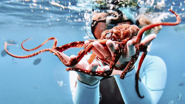 Snorkeling in Oahu