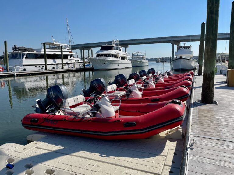 Mini Boat Dolphin Tour in Hilton Head