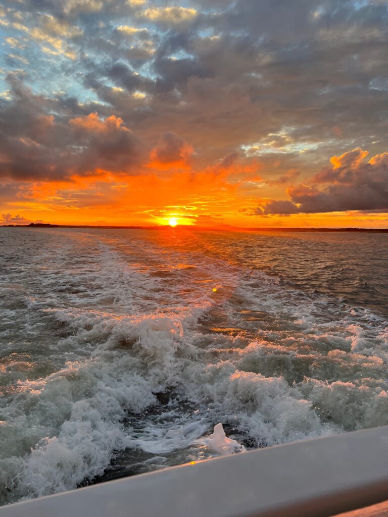 Sunset Dolphin Tour in Hilton Head