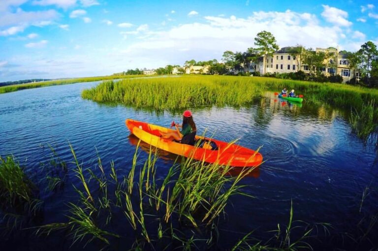 Excursión guiada en kayak por Hilton Head