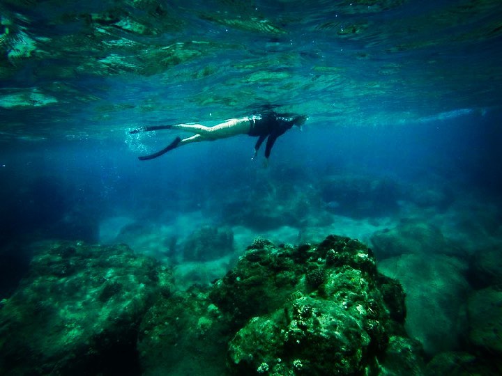 Snorkel en la Laguna de las Tortugas Marinas y la Playa de Arena Negra en Hilo.