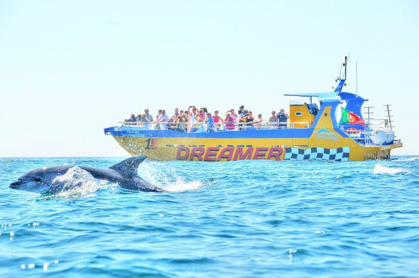 Grutas e observação de golfinhos a partir de Albufeira - Dreamer