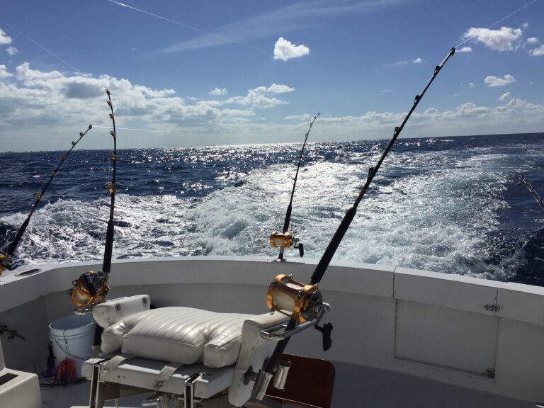 Pesca de fundo privada de meio dia em Providenciales