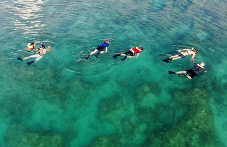 Morning Snorkel Tour in Key West