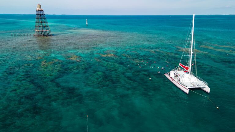 Sunset Dolphin and Snorkel Tour in Key West