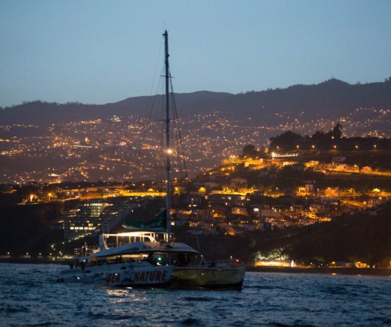 Nieuwjaarsfeest op Madeira op een boot