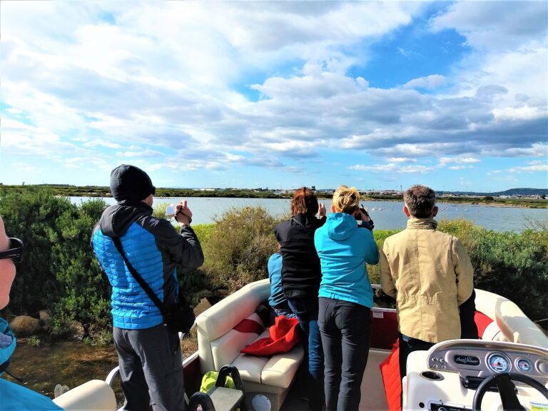 Birdwatching and Nature Cruise in Ria Formosa