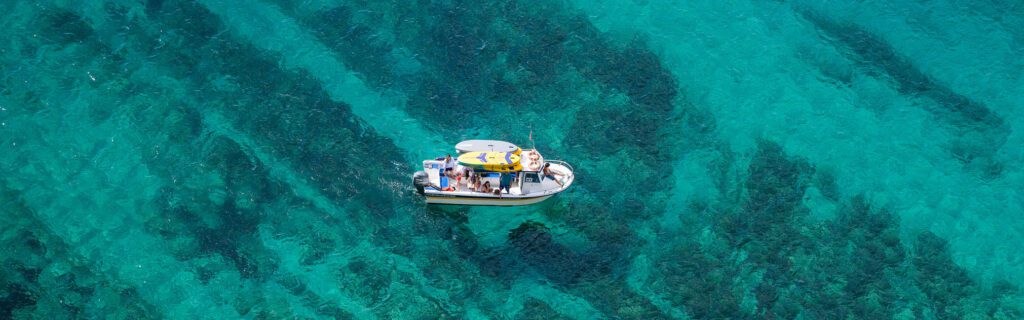 Passeio de Barco Privado Sesimbra Parque Marinho Luiz Saldanha