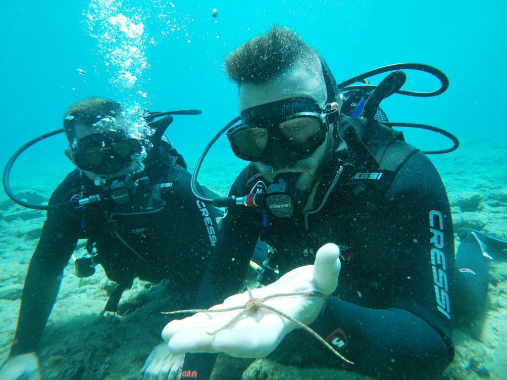 SSI Basic Diver Programm für Anfänger 2 Tauchgänge auf Kreta