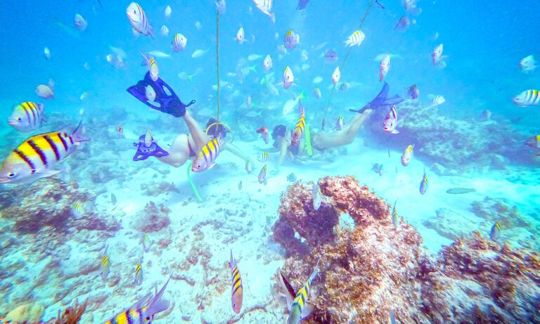 Paseo privado en Catamarán en Punta Cana