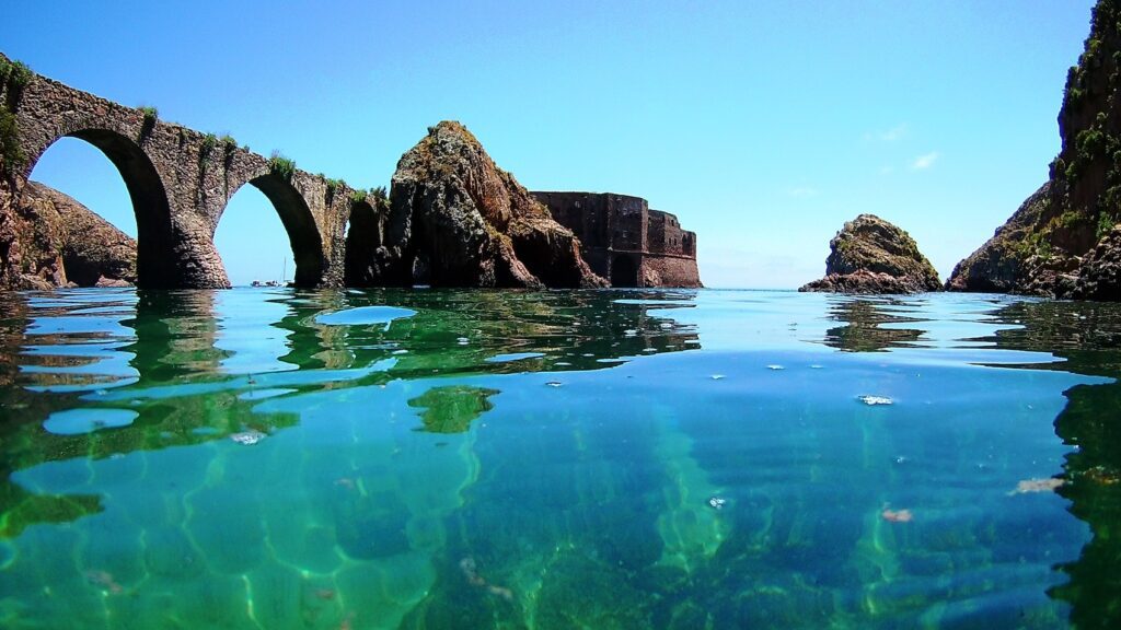 Excursión en barco a las islas Berlenga