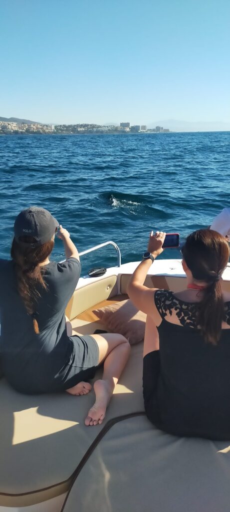 Dolphin Watching Charter in Fuengirola