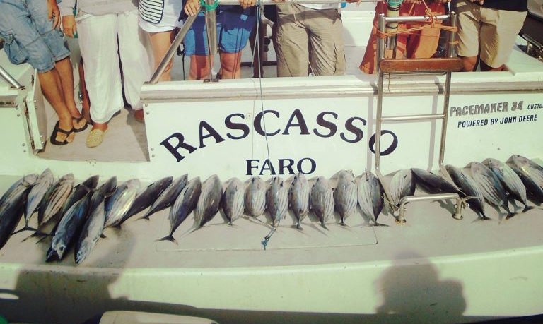 Pesca de recife em Vilamoura - meio dia