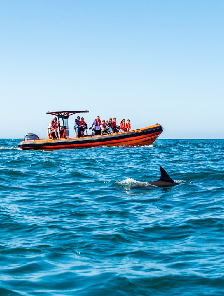 Cascais Dolphin Watching Tour