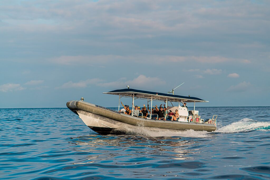 Schnellboot-Schnorchel-Tour auf Hawaii