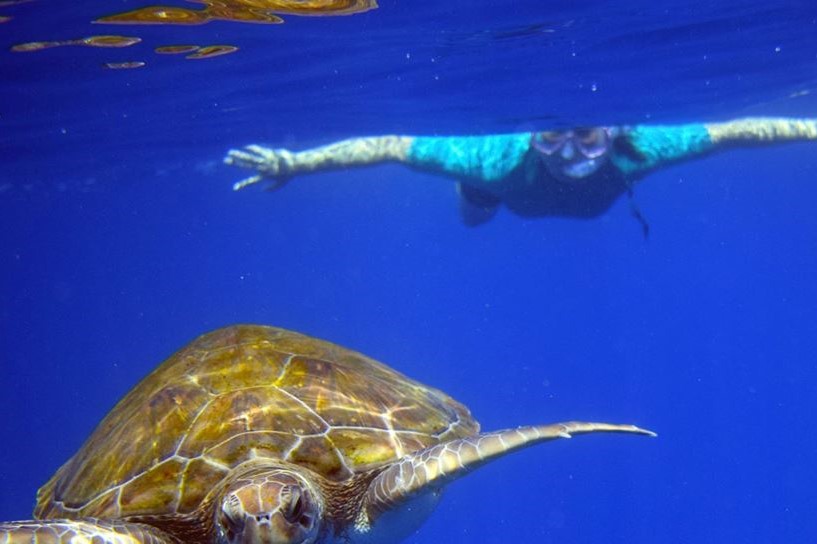 Snorkeling em Tenerife com tartarugas