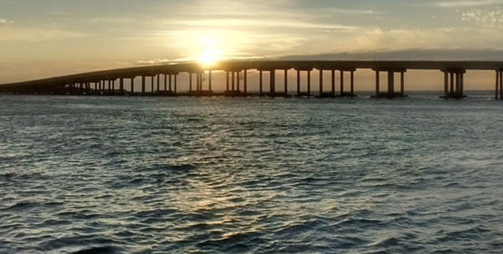 Cruzeiro com golfinhos ao pôr do sol em Destin