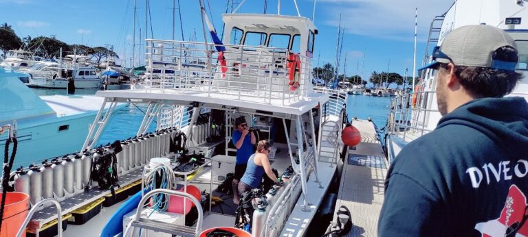 Excursión de snorkel al Cañón de la Tortuga en Waikiki