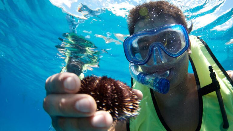 Dolfinhos e vela em Waianae