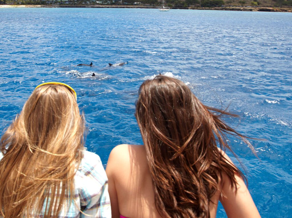 Observação da vida selvagem em barco a motor em Waianae