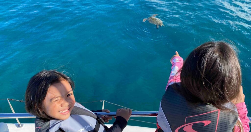 Private Snorkeling Cruise in Waikiki