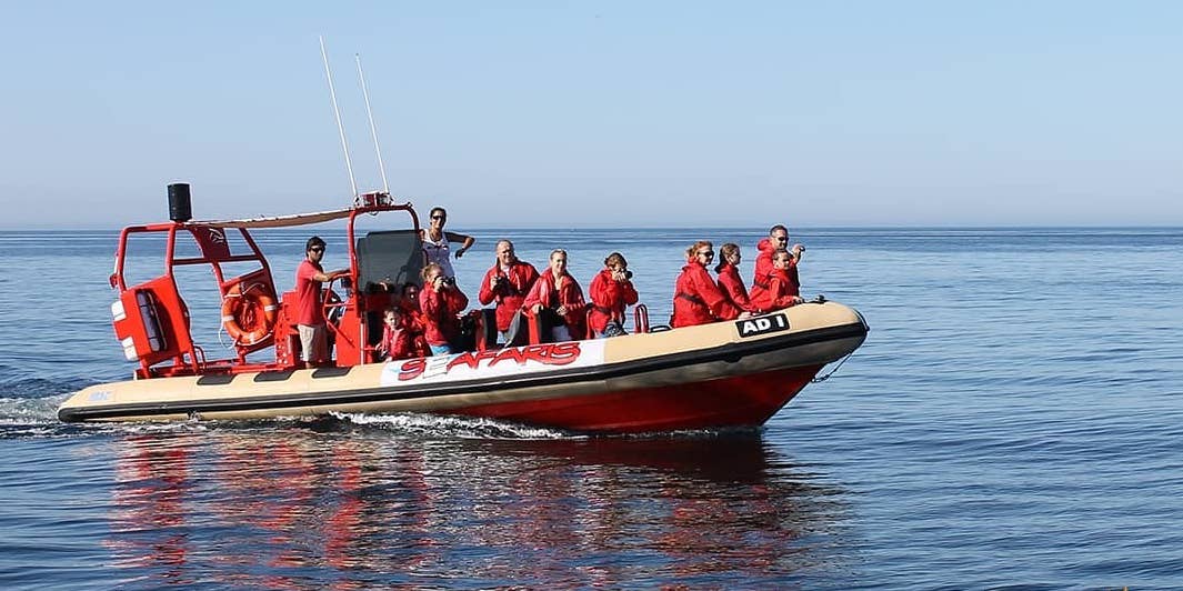 Boat tour to Benagil from Lagos