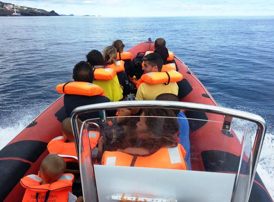 Observação de baleias e golfinhos a partir do Funchal