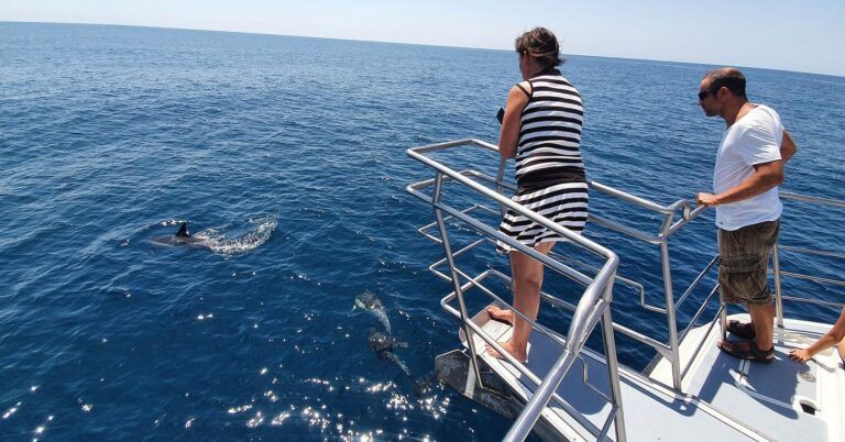 Family dolphin watching in Lagos