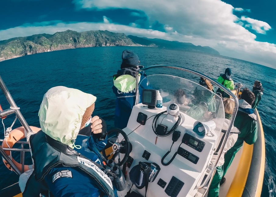 Expedición de observación de aves marinas en las Azores