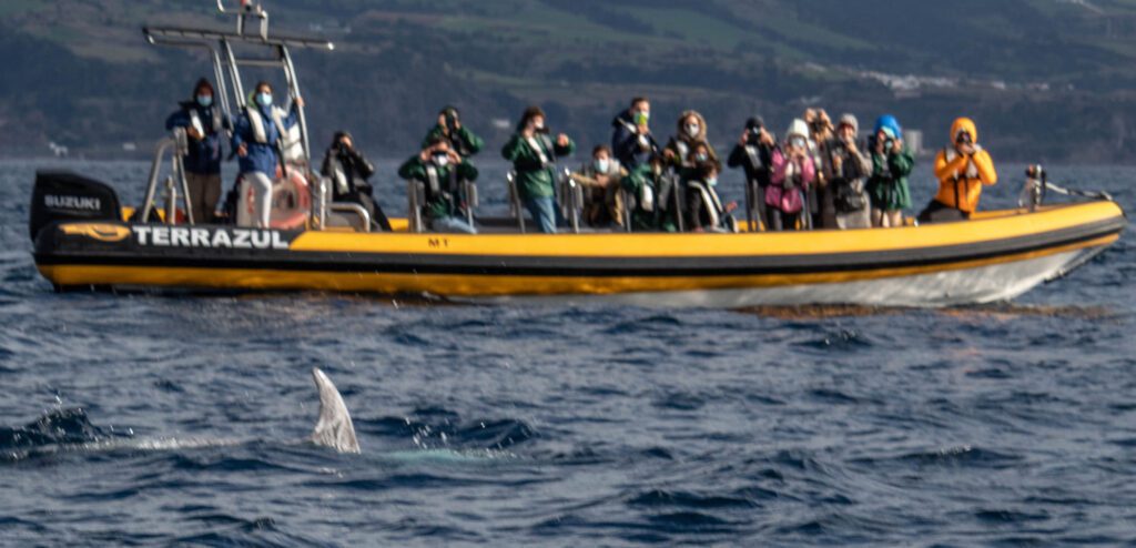 Vila Franca do Campo Islet Boat Tour