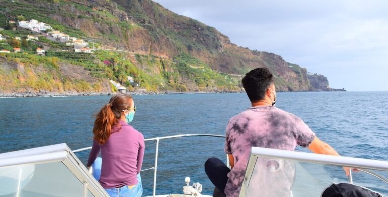 Whale and dolphin observation in Madeira