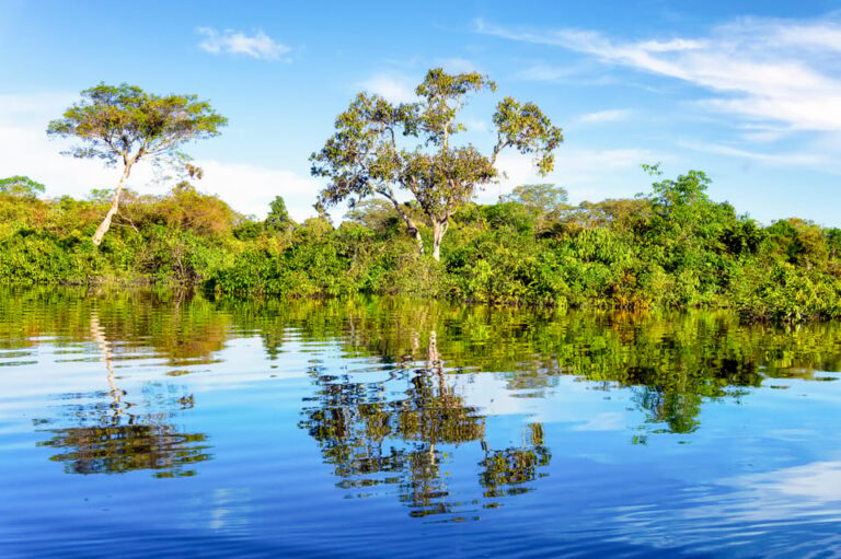 Boat tour to the dolphins and to an indigenous village from Manaus