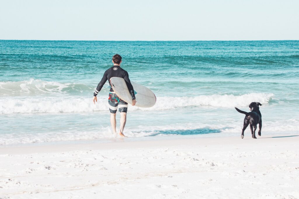 Destin Harbor Boardwalk surf