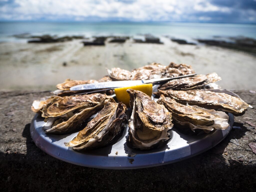 Oyster An Alternative Travel Guide To The Algarve