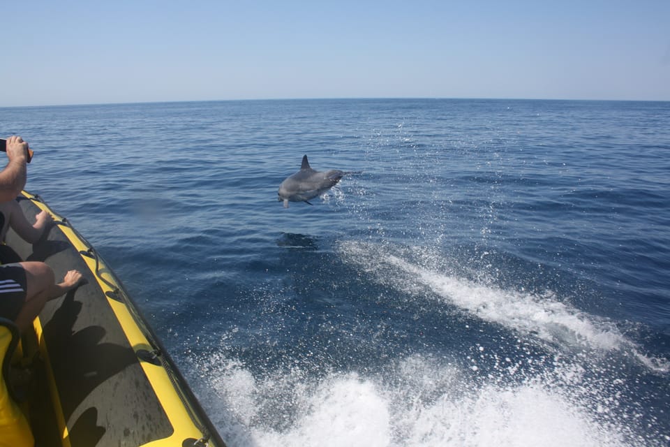 Passeio de barco privado em Albufeira